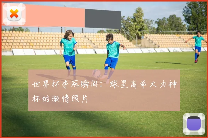 世界杯夺冠瞬间：球星高举大力神杯的激情照片