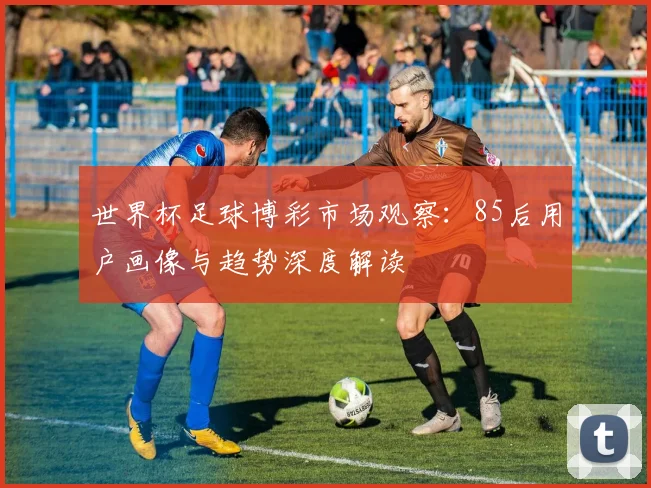 世界杯足球博彩市场观察：85后用户画像与趋势深度解读