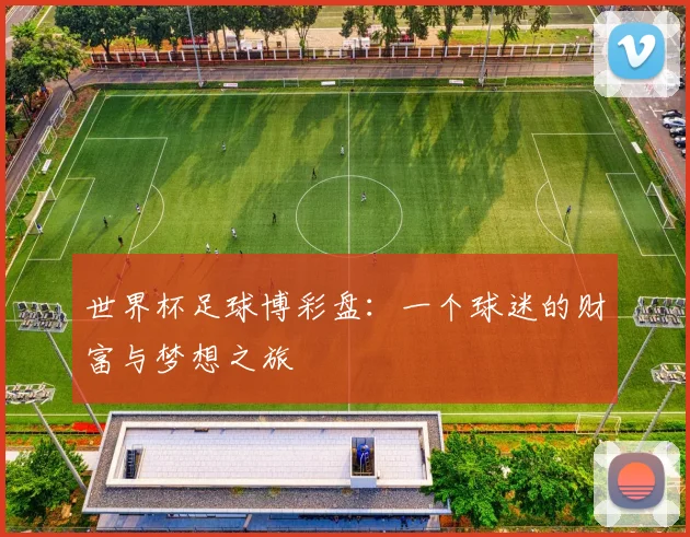 世界杯足球博彩盘：一个球迷的财富与梦想之旅