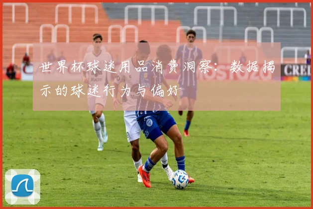 世界杯球迷用品消费洞察:数据揭示的球迷行为与偏好