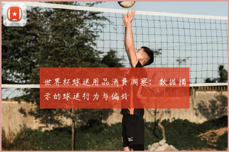 世界杯球迷用品消费洞察:数据揭示的球迷行为与偏好