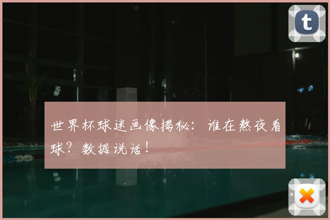 世界杯球迷画像揭秘:谁在熬夜看球?数据说话!