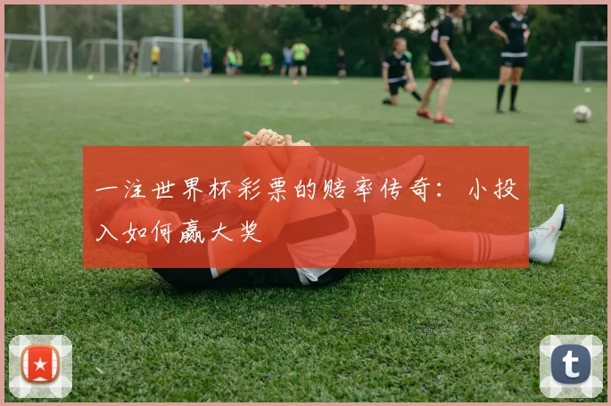 一注世界杯彩票的赔率传奇：小投入如何赢大奖