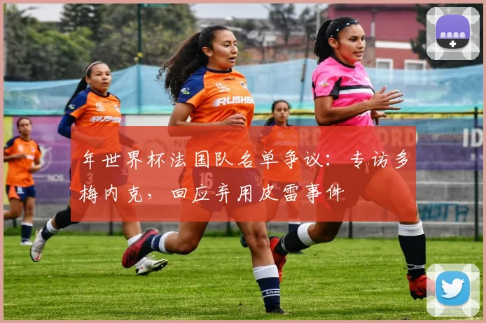 年世界杯法国队名单争议：专访多梅内克，回应弃用皮雷事件