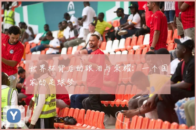 世界杯背后的眼泪与荣耀：一个国家的足球梦
